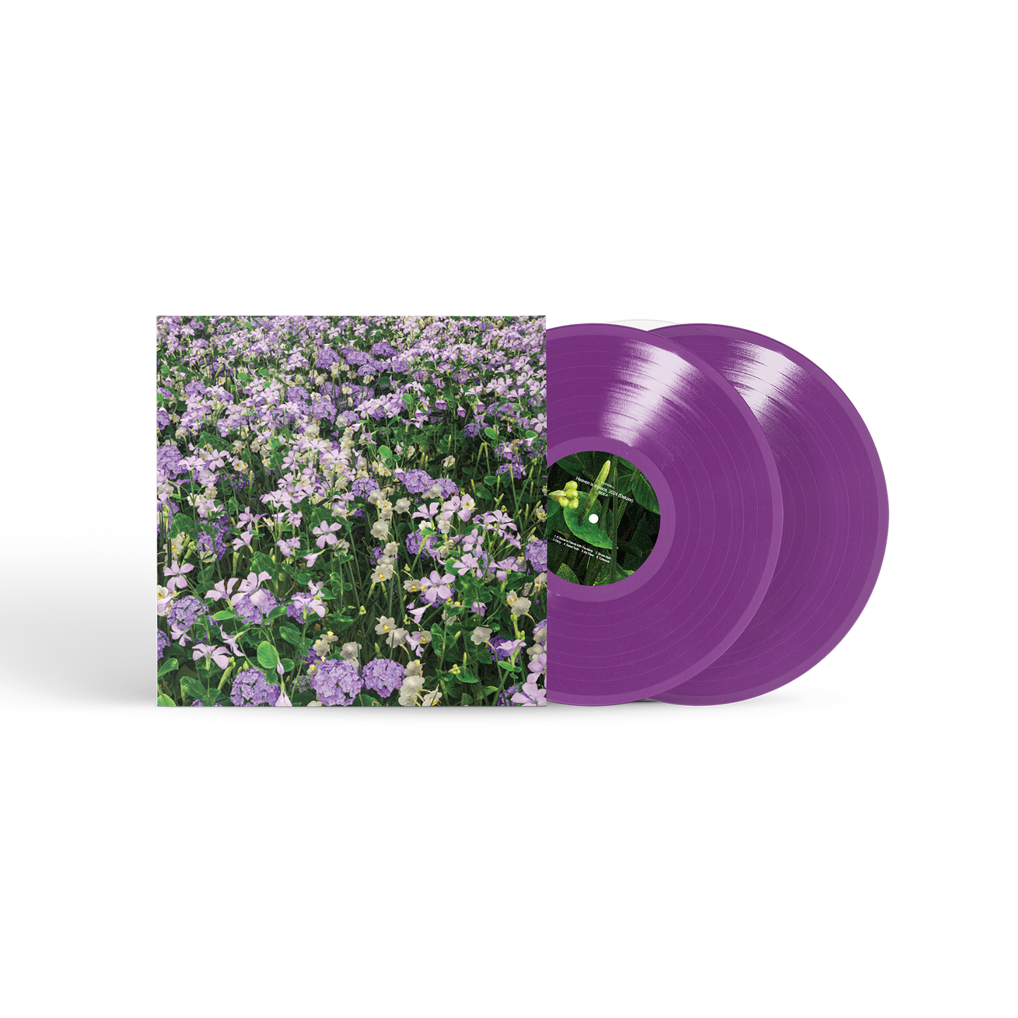 Heaven is a place Deluxe Vinyl