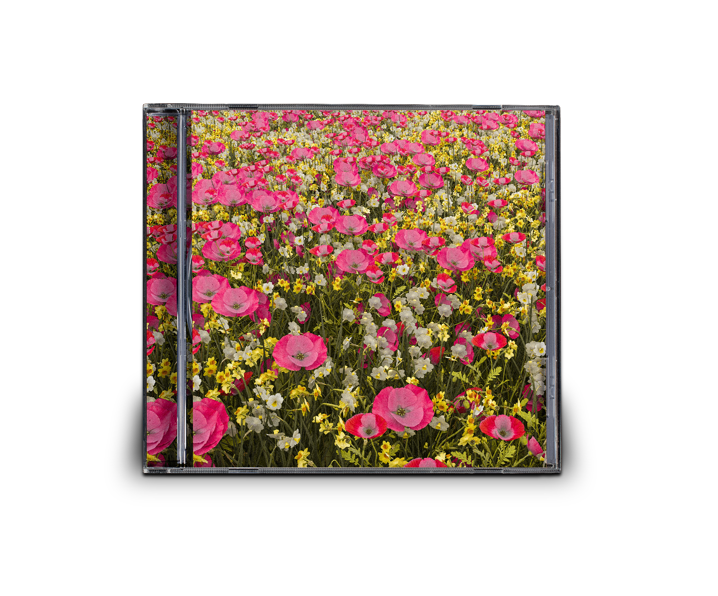 Heaven is a place CD